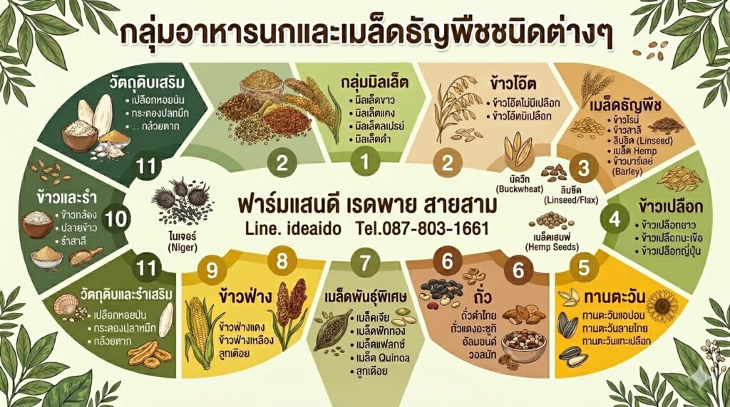ซันคอนัวร์ กินอะไรได้