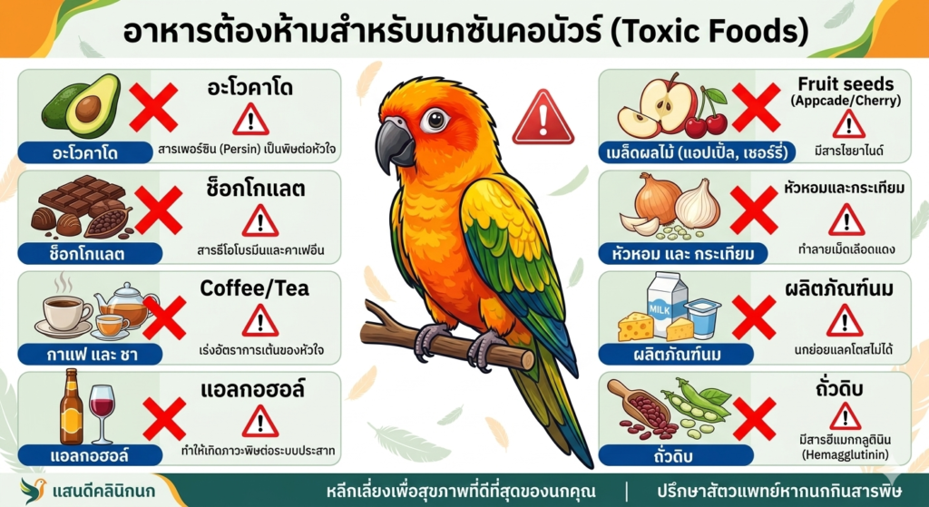 นกแก้วซันคอนัวร์ ห้ามกินอะไร